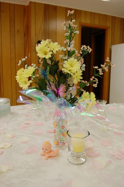 Butterfly Baby Shower Ideas on Baby Shower Success    Butterfly Dreams
